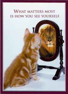 cat-looking-in-mirror-lionabout-the-smart-yug---smart-yug-fk8mglan